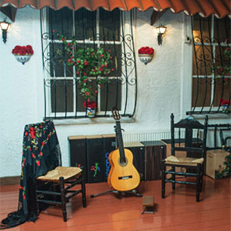 flamenco guitars